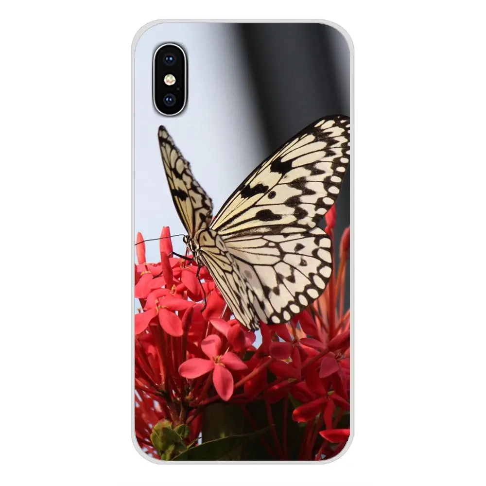 Phone Cases Covers Red butterfly on white roses flower For Apple iPhone X XR XS 11Pro MAX 4S 5S 5C SE 6S 7 8 Plus ipod touch 5 6 | Мобильные