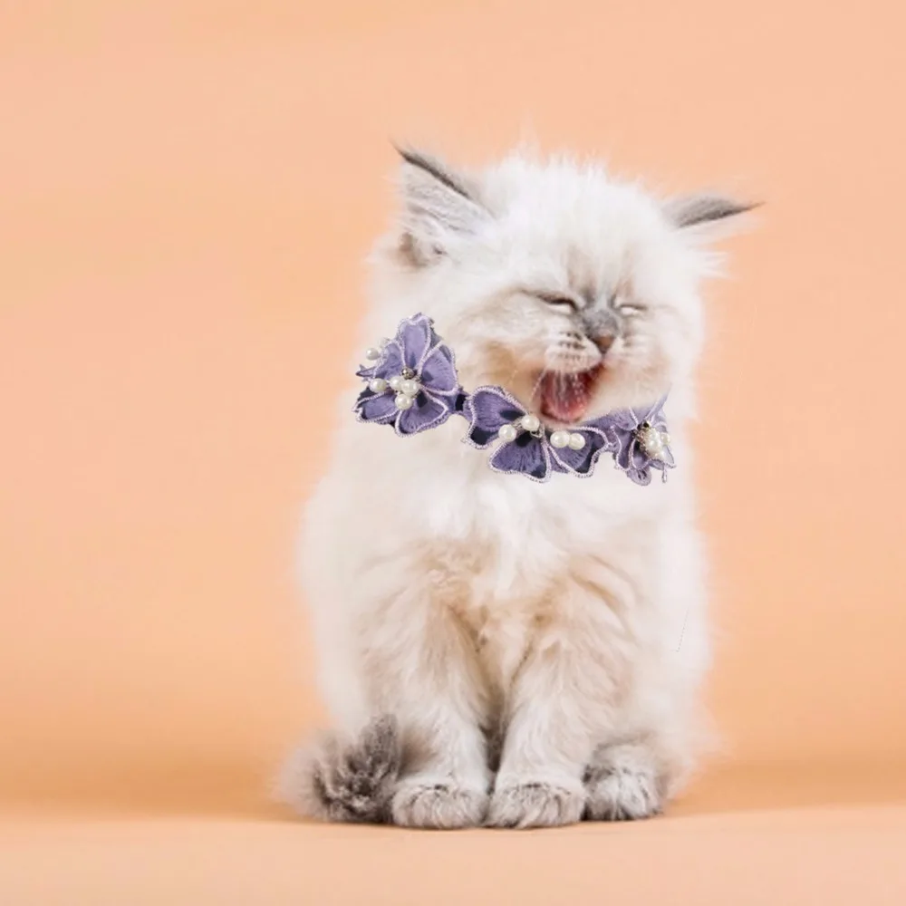 Pet Хрустальный ошейник ожерелье с котенком Pet кулон Блестящий яркий в форме сердца кристалл алмаз украшения аксессуары для Тедди