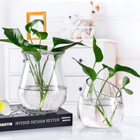 french simple aquatic green plant vase ins wind home decoration accessories flower vase home decor room decor room decoration