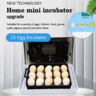 Лучший инкубатор для яиц, автоматический Брудер, инкубатор для цыплят на ферме, цифровой 15 яиц, инкубатор для гуся, курицы, перепелов # g35