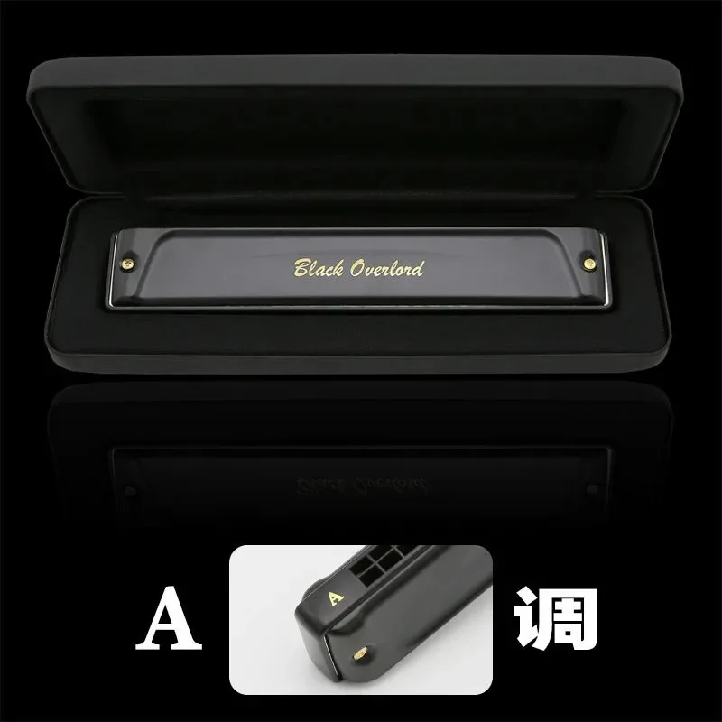 

24-hole Polyphonic Diatonic Harmonica Blues Resin Harmonica Instrument Mouth Piece Instrumentos Musicais Musical Entertainment