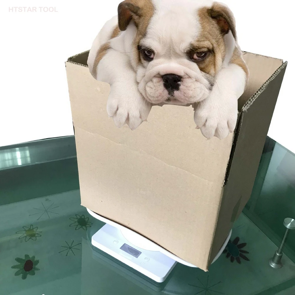 

Electronic Pet Weighing Scale Portable LCD Digital Scale Mini Precision Weight Balance Scale for Measure Puppy Min Graduation 1g