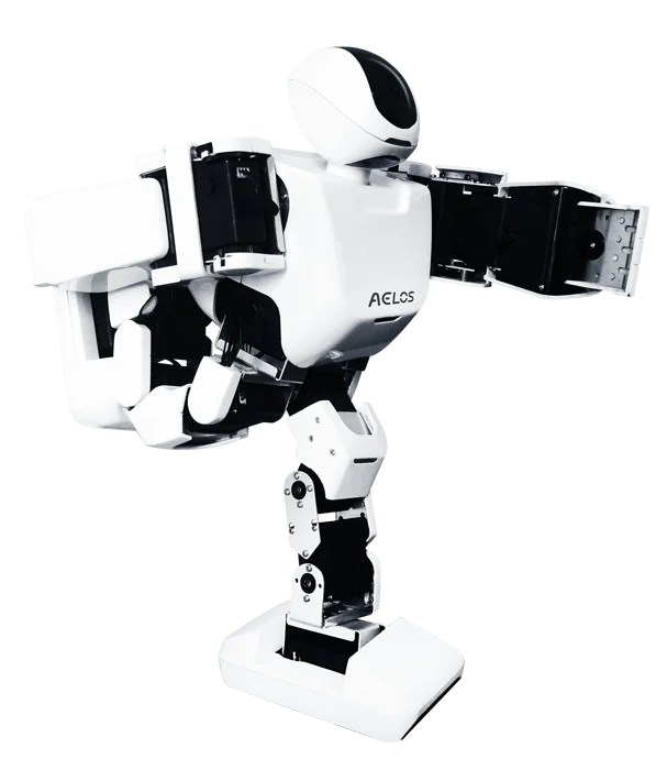 

Aelos Rc Intelligent Multifunctional Robot Talking Humanoid Toy Robot metal