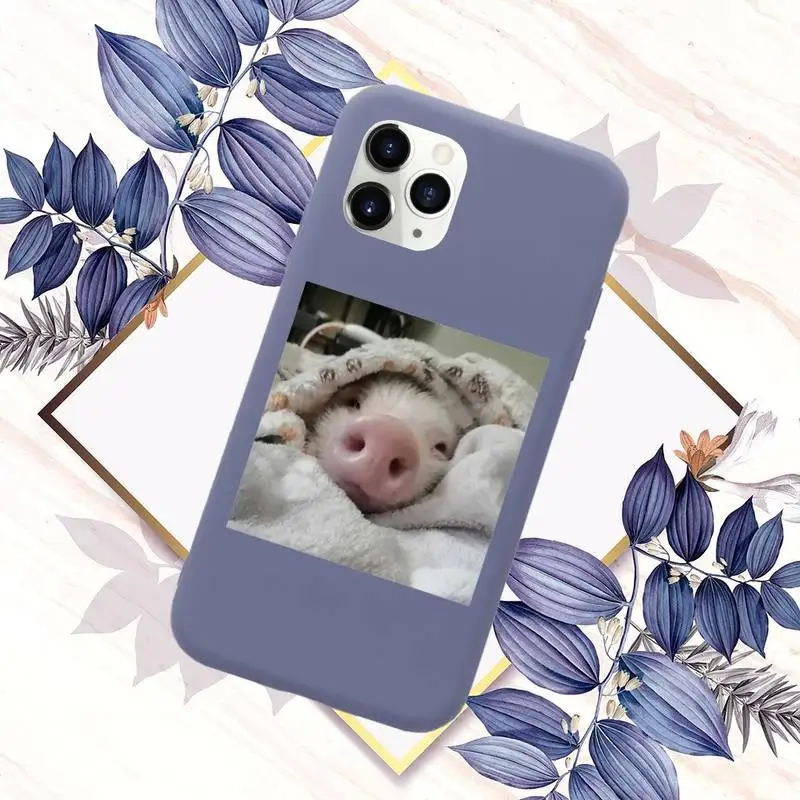 

Cute animal pig Phone Case Candy Color for iPhone 11 12 mini pro XS MAX 8 7 6 6S Plus X SE 2020 XR