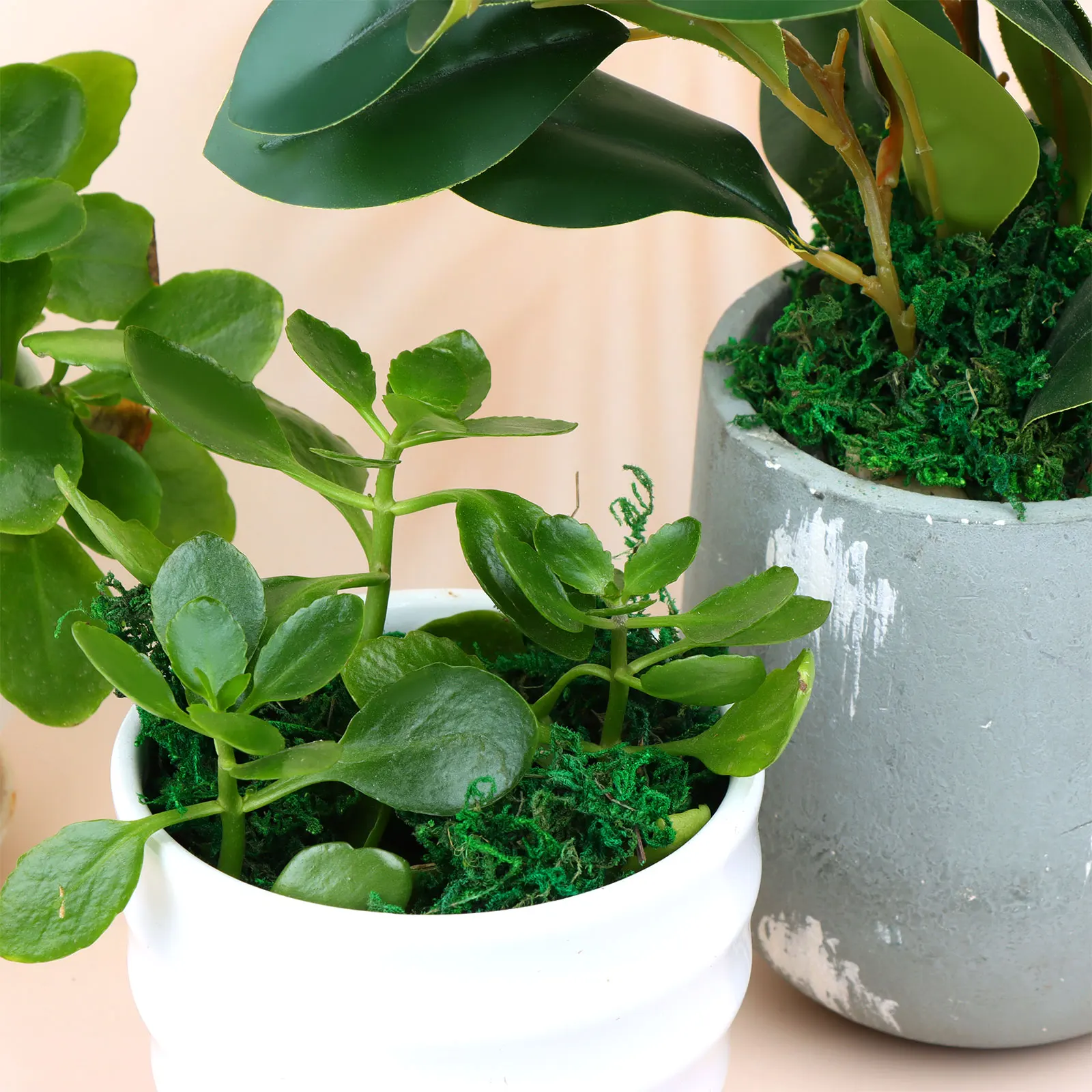 

10Oz Artificial Moss Flower Craft Moss Lichen Simulation Fake Green Plants Home Garden Terrace Decoration Birthday Decorations