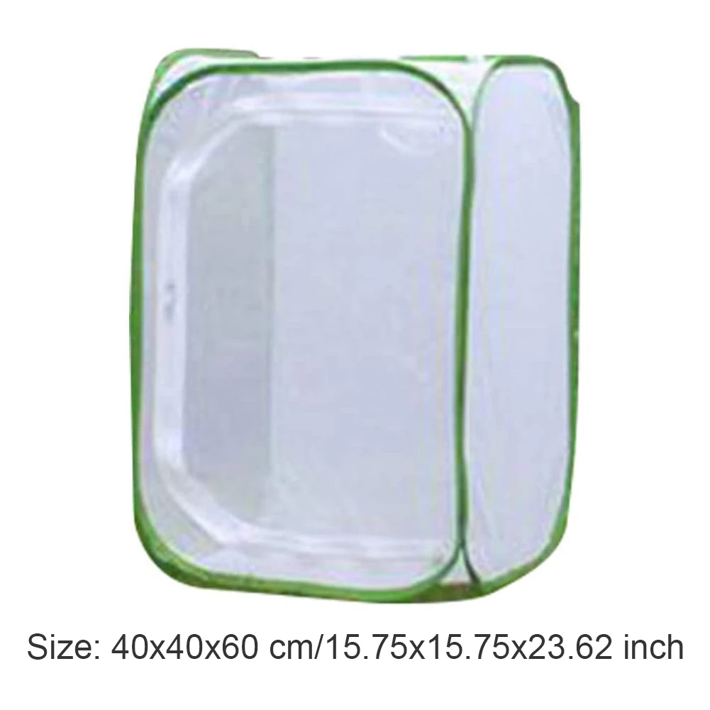 

Praying Mantis Stick Green Portable Foldable Insect Chameleon Cage Housing Enclosure Insect Supplies Mesh Boxes Net Cloth