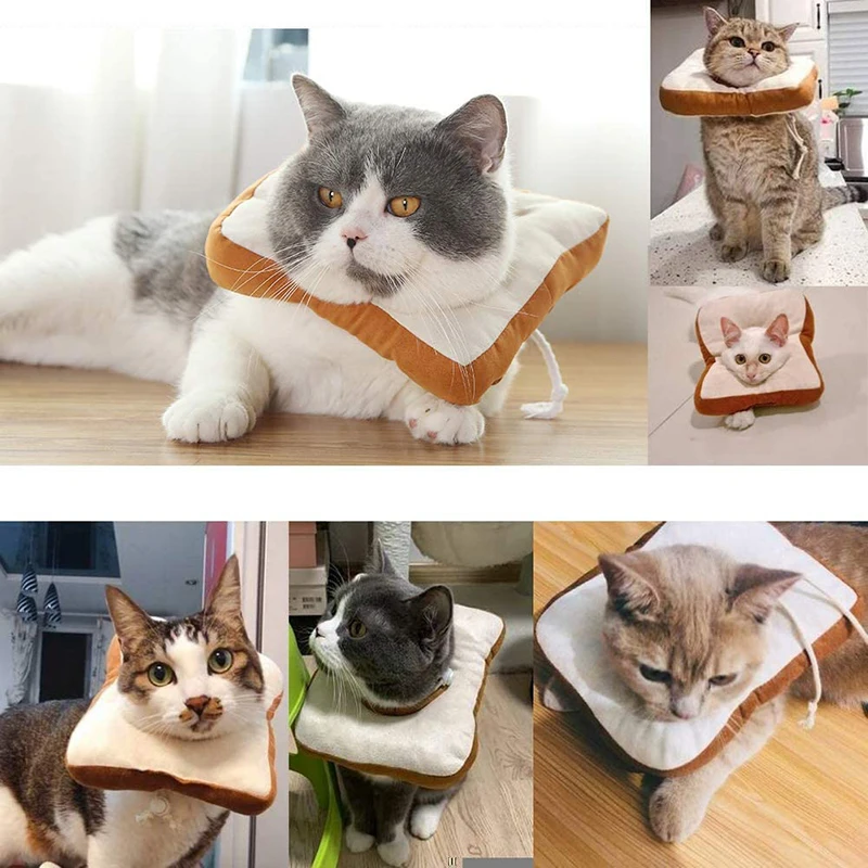 Ошейник для домашних животных одежда защиты от укусов кошек и маленьких собак