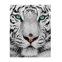 white tiger blanket warm soft lightweight blanket throw size for kids adults all season