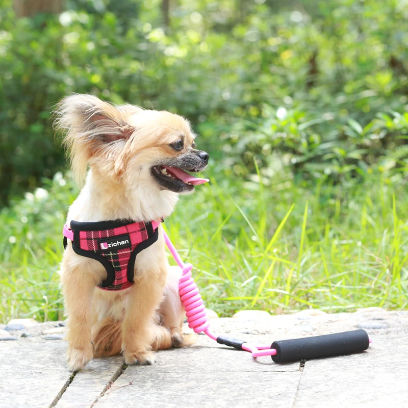 Шлейка для собак Zichen нейлоновый поводок из денима удобная с регулируемой пеной 3