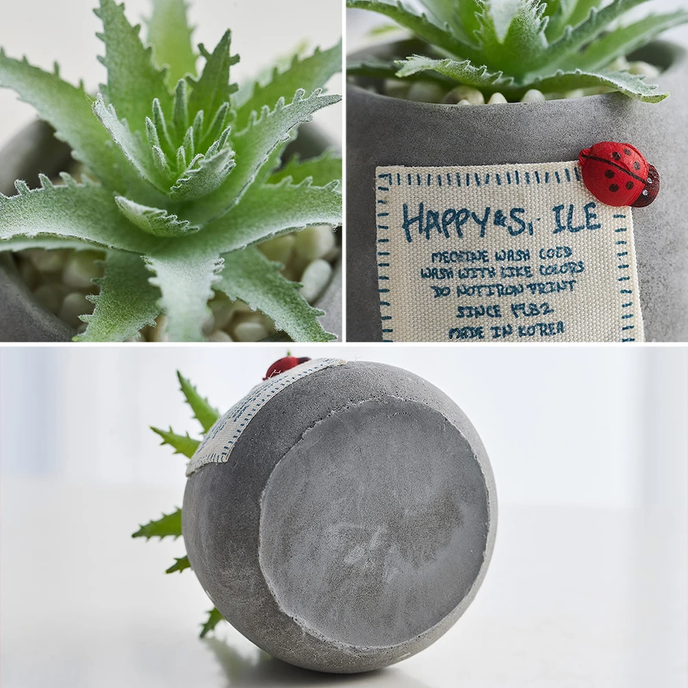 

Potted Succulents Plants Ceramics Mini Bonsai with Pots Cement Artificial Flower Fake Plants for Wedding Garden Home Decorative