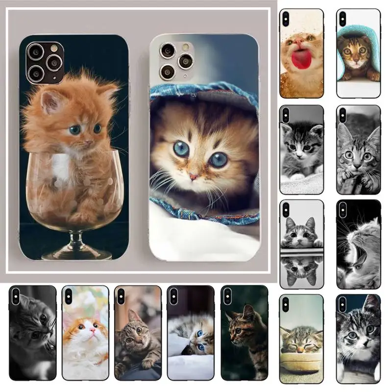 

MaiYaCa Funny Kitten Cat Phone Case for iphone 13 11 12 pro XS MAX 8 7 6 6S Plus X 5S SE 2020 XR case
