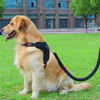 big dog harness and leash set reflective dog harness no pull collar training pet chest strap for small medium large dogs stuff