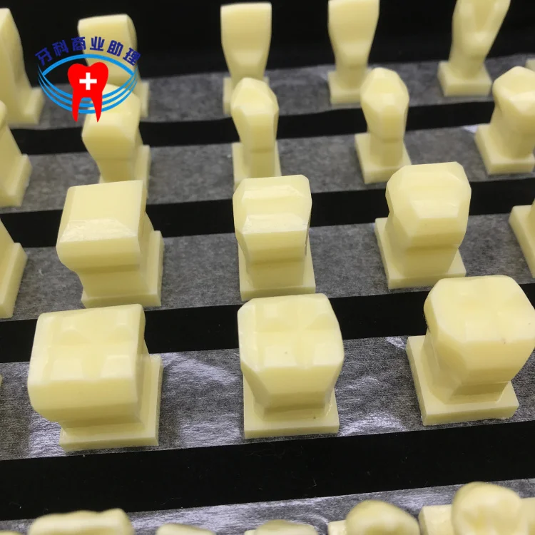 Уход за полостью рта Студенческая Модель прорезывания зубов 2 5x модель для