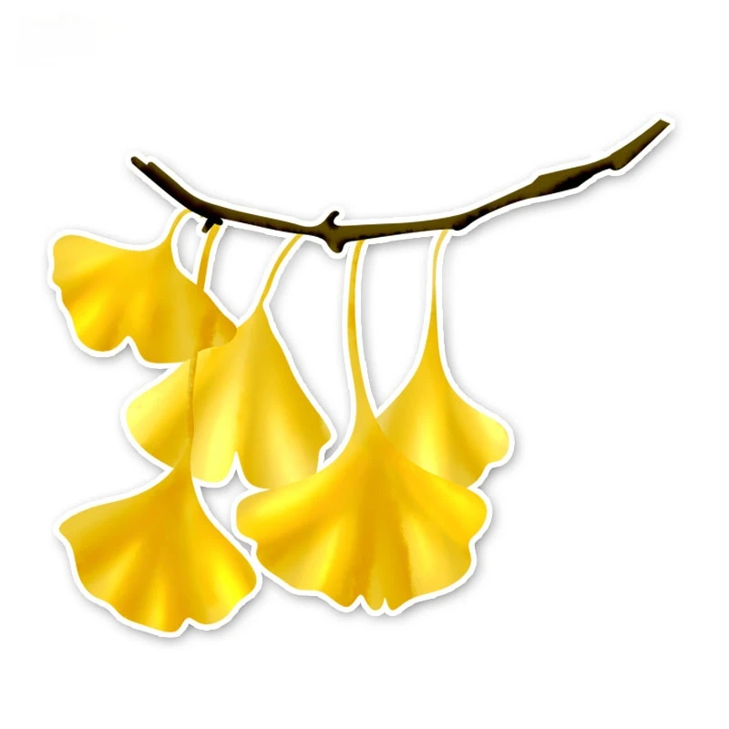 

Personalized Colored Unique Leaves Maple Leaf Bumper Trunk Laptop Rear Windshield Waterproof Car Stickers Accessories PVC14x12cm