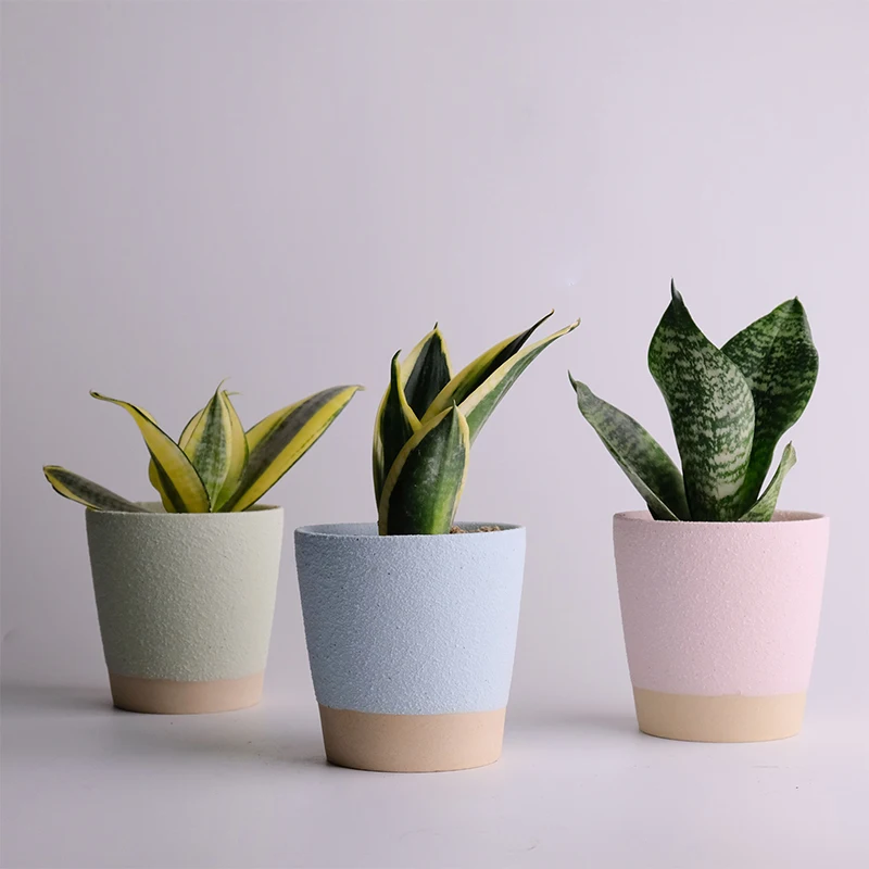 

Flower Vase Green Succulent Plant Pot Table Decoration Living Room Simple and Stylish Home Decor Vase Living Room Decoration