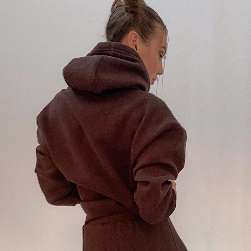 HEYounGIRL Casual Harajuku Oversized Hoodie Sweatshirt Y2K 2000s Aesthetic Brown Women Sweetshirts Autumn Long Sleeve Pullover