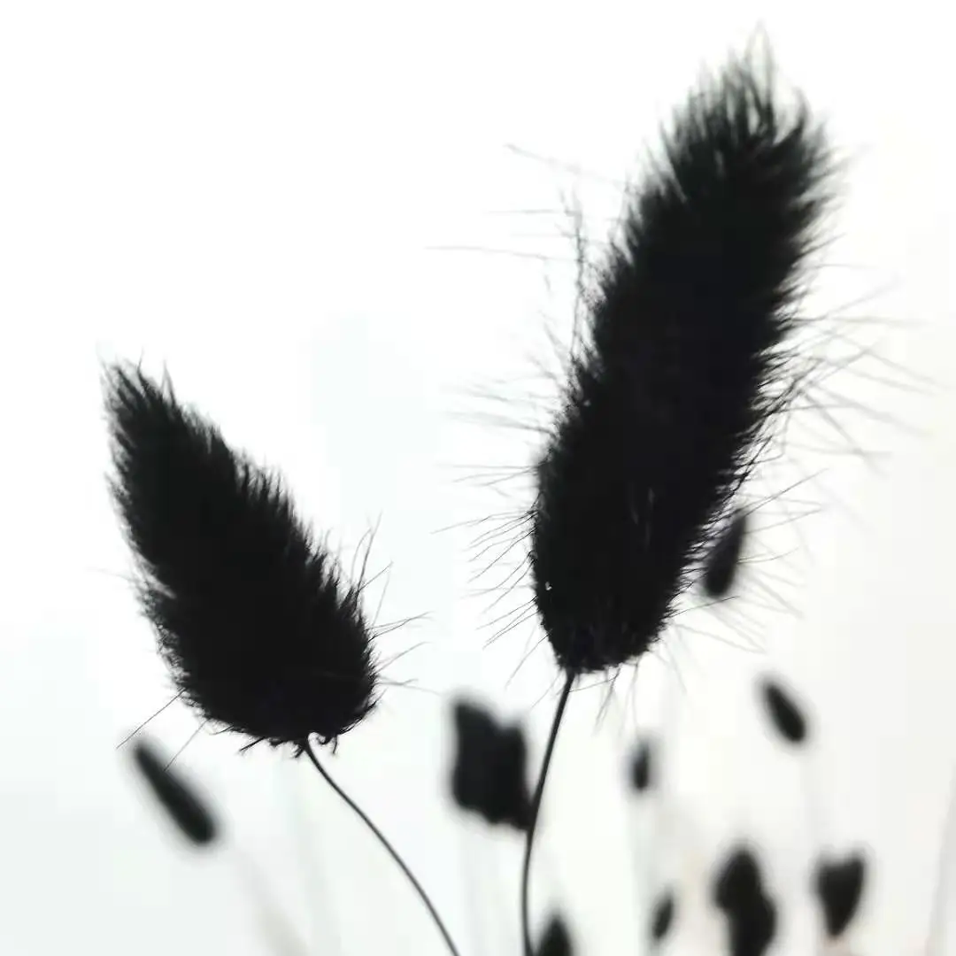 Трава сушеная из натурального пампаса трава черного кролика свадебные украшения