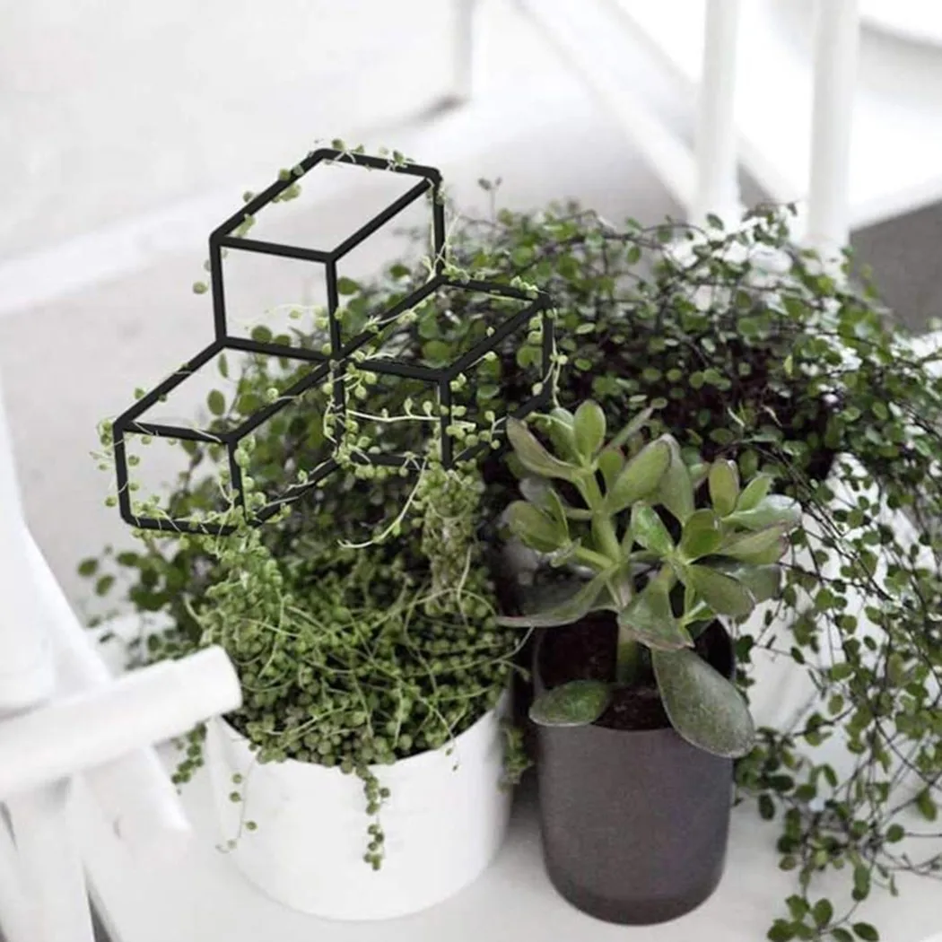 Ivy Plants Support Metal Outdoor Potted Rustproof Decorative Housewarming