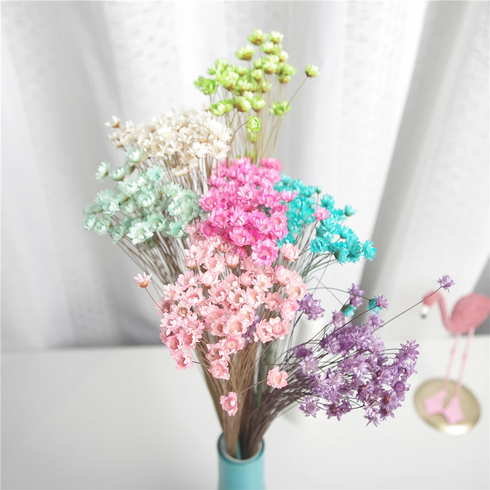 

30pcs Dried Natural Flowers Mini Daisy Small Star Flowers Bouquet Natural Plants Preserve Floral Wedding Marriage Decoration
