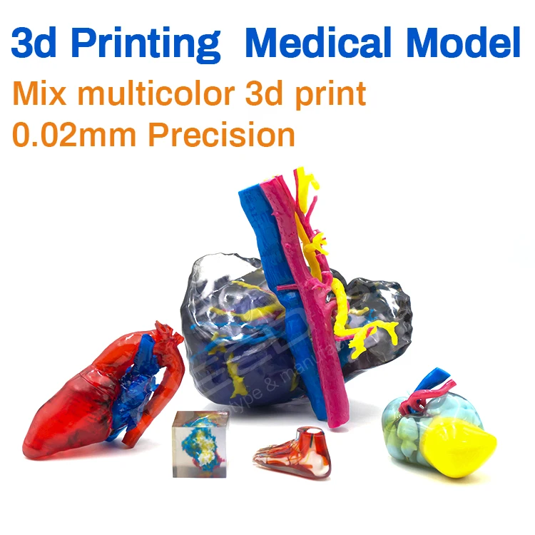 Многослойная полноцветная 3D печать Stratasys polyjet индивидуальная медицинская модель