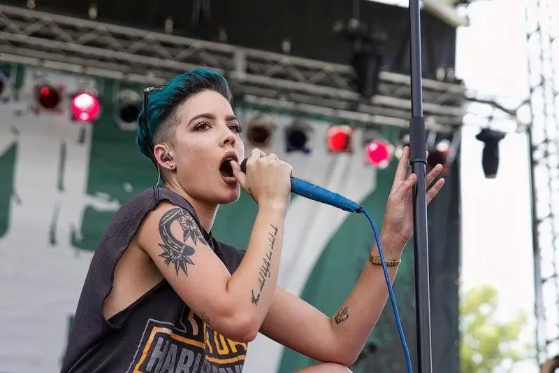 HALSEY Эшли Nicolette Плюмерия музыка певица шелк тканевый плакат Арт Спальня
