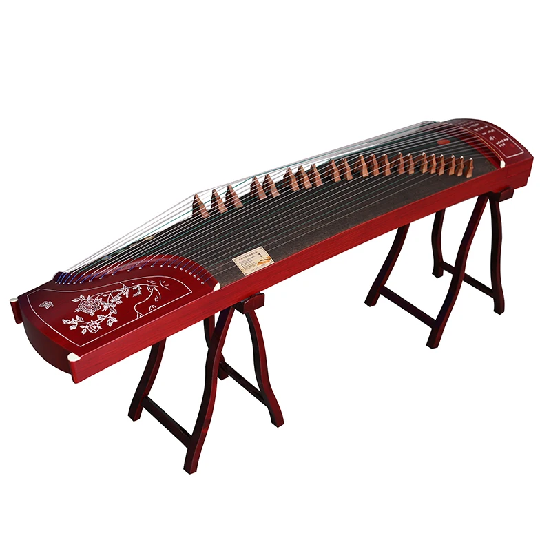 Xiansheng Guzheng для начинающих преподавание профессиональное представление