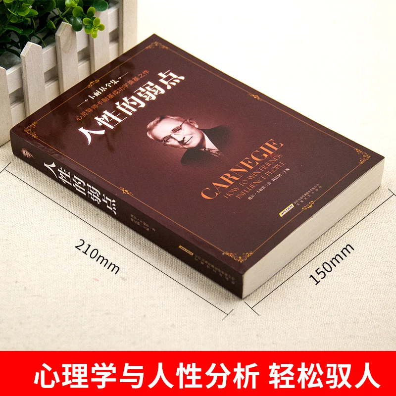 Новый хит продаж как завоевать друзей и влиять на людей китайская версия успех