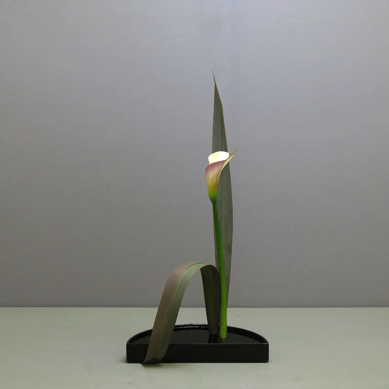 Черный Zen Винтаж грубая керамика полукруг японский цветочный горшок мелкий