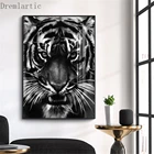 Черный и белый тигр холст постер из шелковой ткани современный Стиль принты вечерние дом декор комнаты #20-1005-43-05