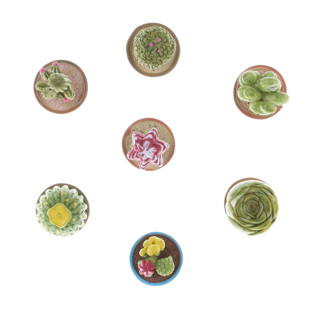 

7 Pcs Lifelike Succulent Plants in Pots for 1:12 Dollhouse Garden Decoration
