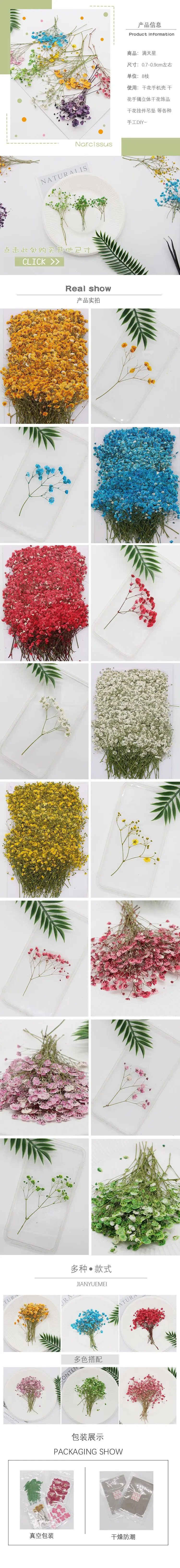 Натуральные сушеные цветы тиснение Botany образец Diy клей ручной оболочки Ароматерапия Свеча фоторамка активность материал наука