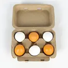 6 шт., детская развивающая игрушка яичный желток