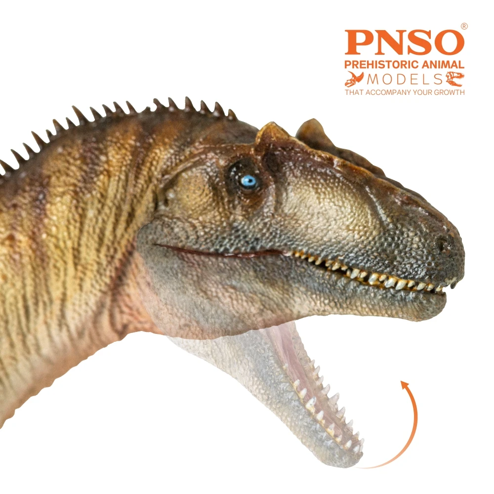 PNSO-dinosaurio prehistorico modelo: 45 Paul el Allosaurus-3