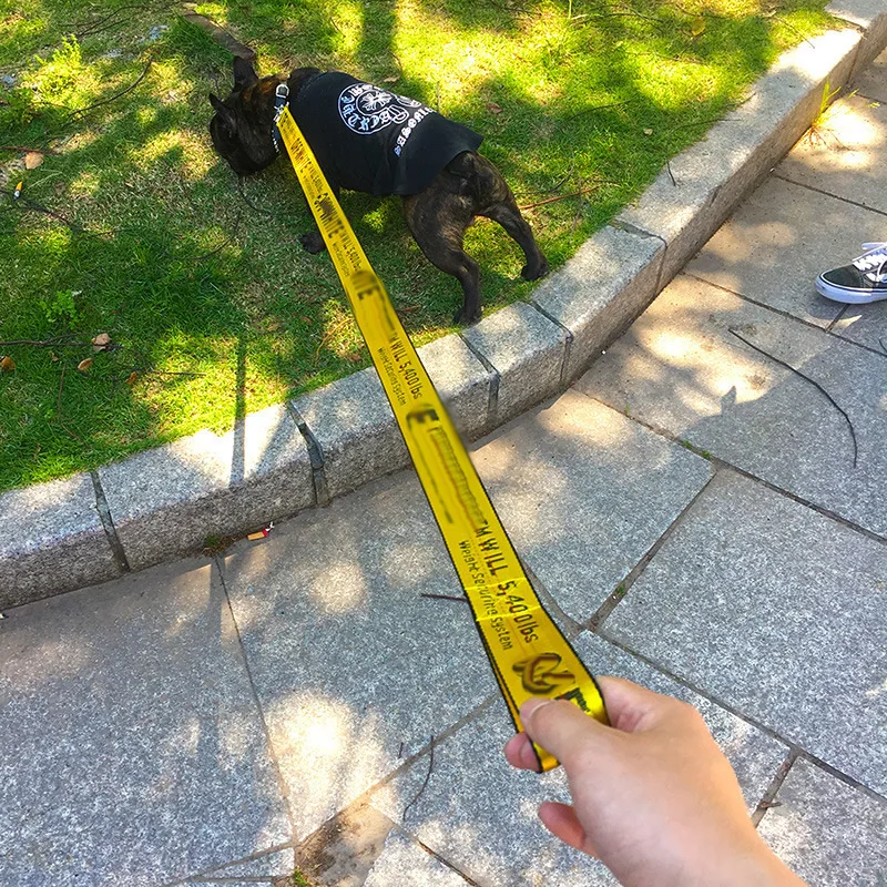 

GALAXYDOG 3.5cm Luxury Dog Leash Off INS White 1.6m NylonCollar SetFashion Neon Dog CollarWedding DogTactical dog leash