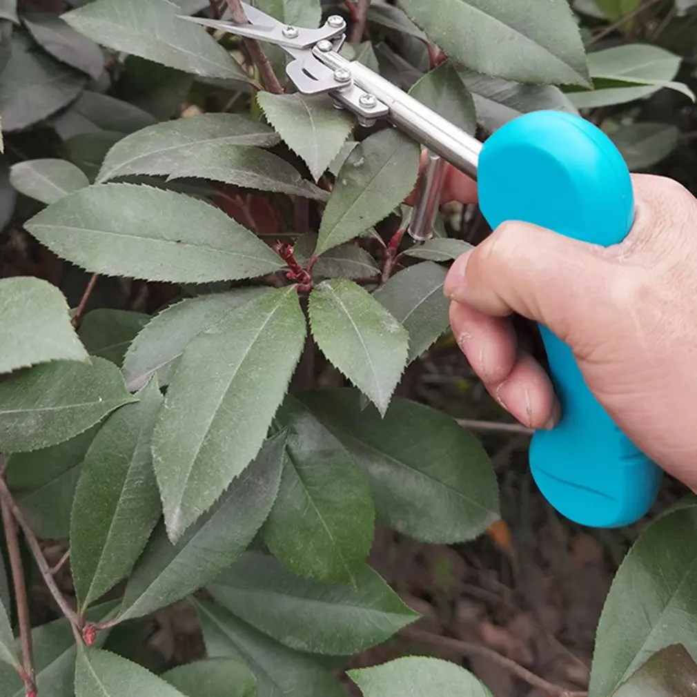 

Plant Trim Horticulture Hand Pruner Cut Secateur Shrub Garden Scissor Tool Pointed Fruit Picking Scissors Pruning Shears