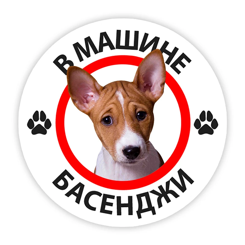 

Печатный самоклеющийся наклейки на авто басенджи водонепроницаемые наклейки на машину стикер этикеты наклейки стайлинга автомобилей украшения на бампере автомобиля заднее стекло B0193