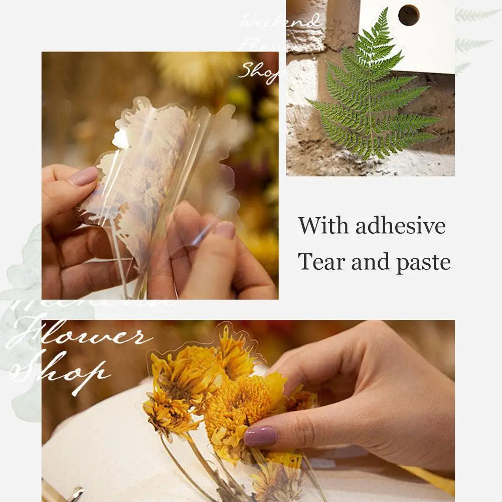 

Toy Decoration Picture Album DIY Stationery Sticker Handbook Plant Material Sticker DIY Diary V9M1