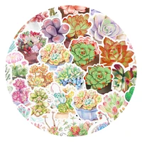 103050pcs mixed pretty succulent plant stickers diy bike travel luggage car phone guitar laptop waterproof cool decal stickers