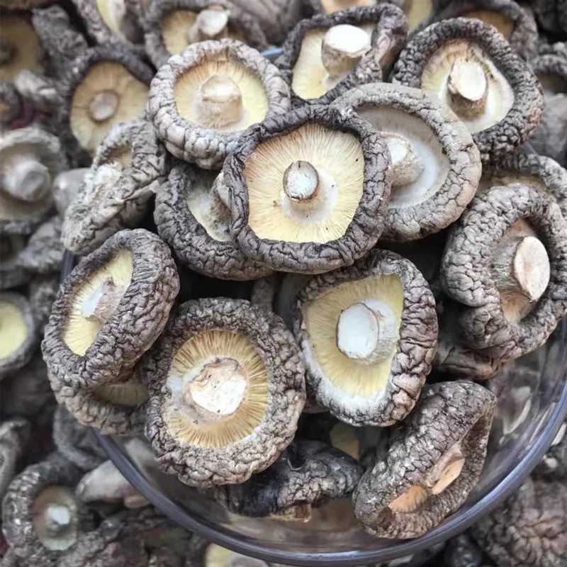 

100% натуральные органические грибы шиитаке, Чистые дикие сушеные грибы шиитаке, xiang gu, бесплатная доставка