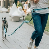 2021 adjustable reflective leash traction rope pet dog running belt elastic hands freely jogging pull dog collar d ring leashes