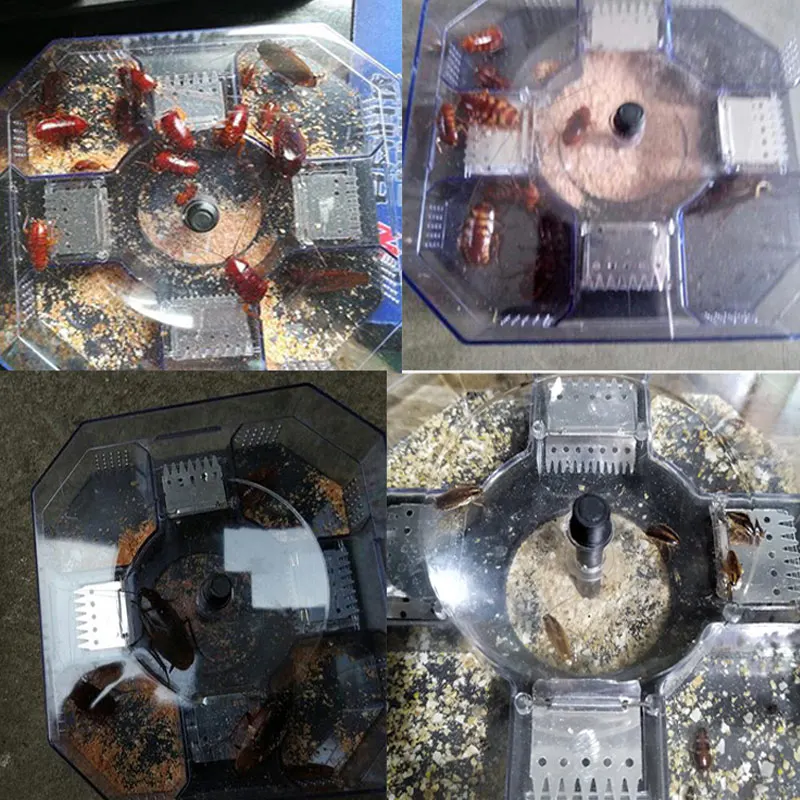 

Newly 10 Pcs Cockroach Killing Bait Pest Control Powerful Cockroach Killing Bait Kitchen Household Using XSD88