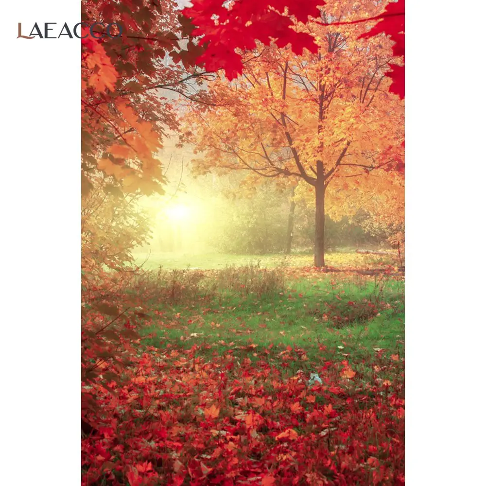 

Laeacco Autumn Fallen Yellow Leaves Trees Photocall Real Scene Backdrops Photographic Backgrounds Baby Portrait Photo Studio