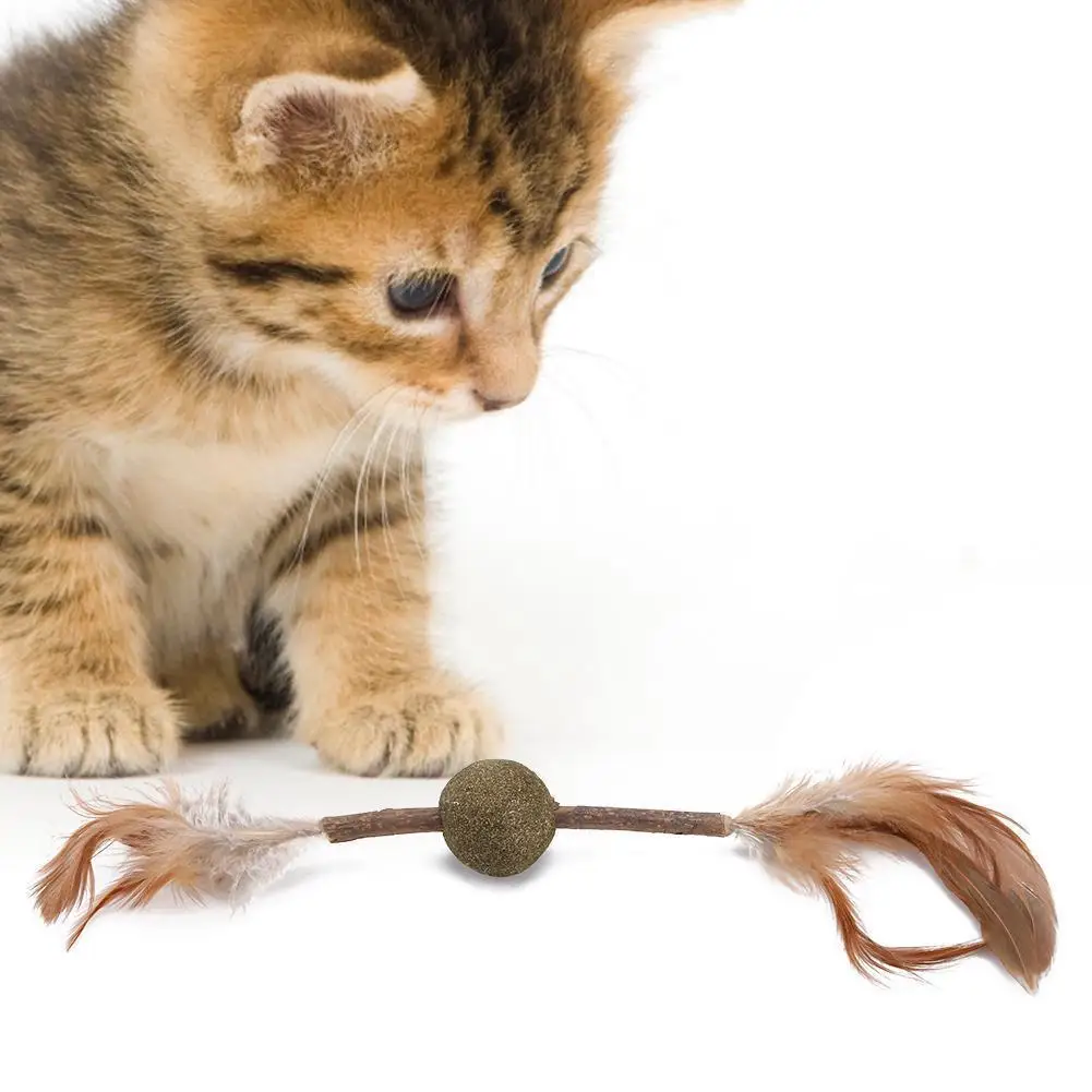 

Cats Kitten Chew Toy Catnip Matatabi Molar Toy Cat and Remove Sticks Clean Teeth Dental Cat Cat Tartar Health Chew X5L1