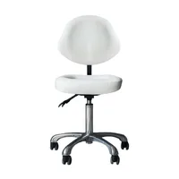 Hydraulic Adjustable Rolling Stool Office Chair Back Support for Dentist Doctor Medical Salon Spa Tattoo Equipment