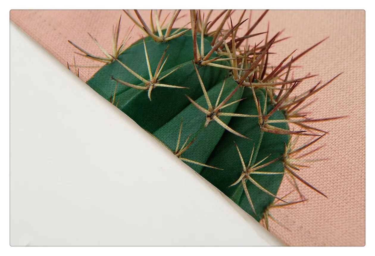 Подставки под напитки с принтом розового ананаса и кактуса коврик для обеденного