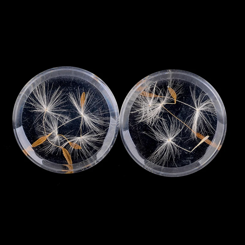 

10-25mm Acrylic Dandelion Ear Plugs Tunnels Earring Gauges Hollow Double Flare Ear Tunnels Expanders Plugs Piercing Body Jewelry