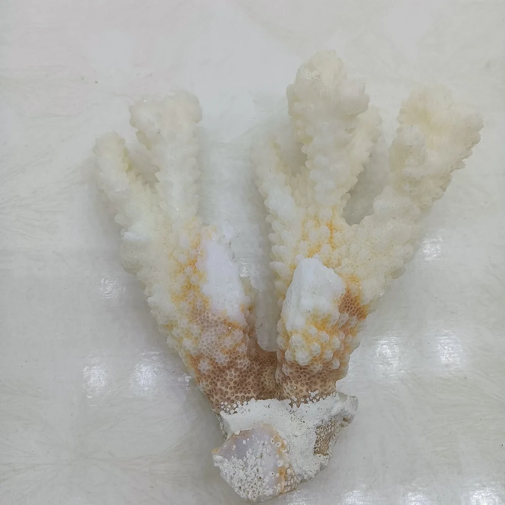 

100% Natural Coral Aquarium Decor Fish Tank Decoration Aquarium Landscaping Ornaments Home Decoration