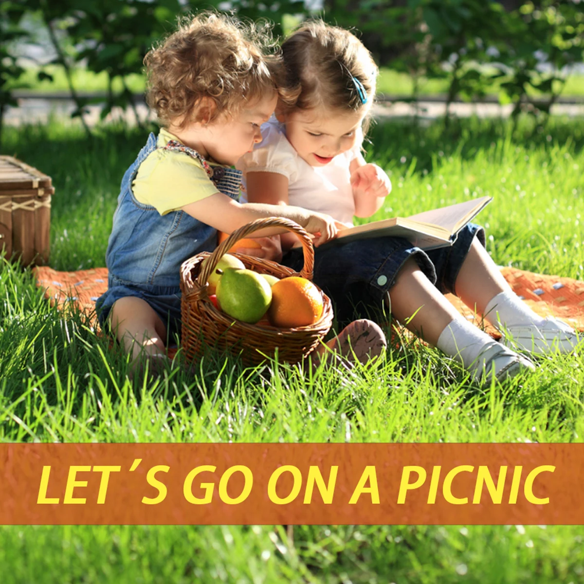 Коврик для посадки семян травы удобрение сада пикника садоводства газона