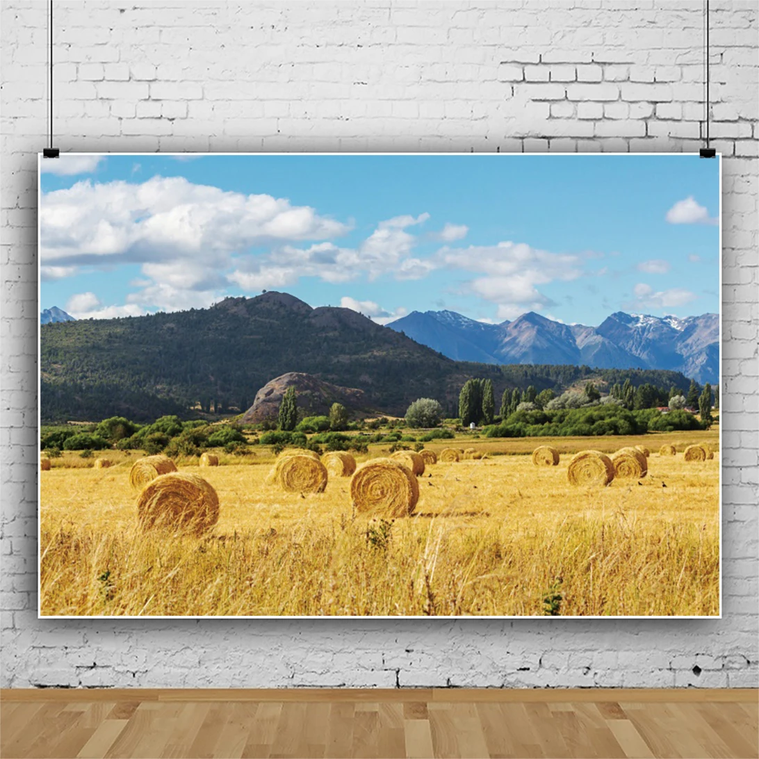 

Laeacco Nature View Blue Sky White Clouds Mountain Plants Forest Straw Backdrops Family Photocall Backgrounds For Photographic
