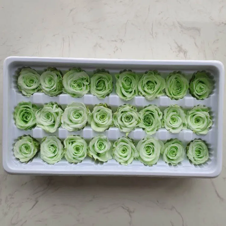 light green 1 коробка высокое качество "Законсервированные" Цветы бессмертный «Розочка» для детей от 2-3 см в диаметре, подарок на день матери, вечная жизнь цветок Материал подарочная коробка - Цвет: light green